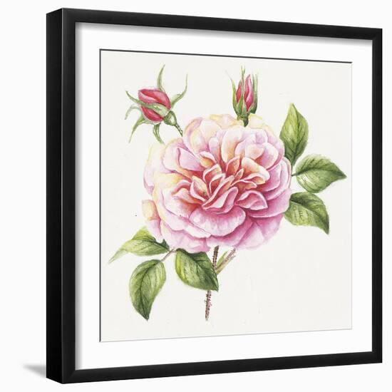 Single Rose 2-Janneke Brinkman-Salentijn-Framed Giclee Print