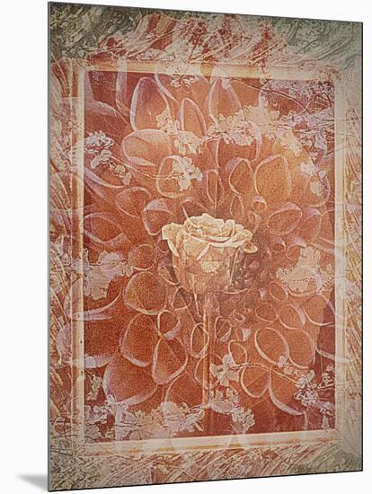 Single Rose in Earthy Colors Vintage Style in Frame, Photographic Layer Work-Alaya Gadeh-Mounted Photographic Print