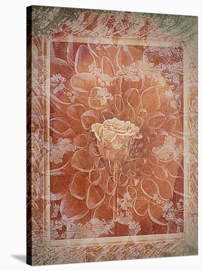 Single Rose in Earthy Colors Vintage Style in Frame, Photographic Layer Work-Alaya Gadeh-Stretched Canvas
