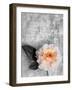 Single Rose on Bw Monotone Textured Background-Alaya Gadeh-Framed Photographic Print