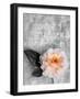 Single Rose on Bw Monotone Textured Background-Alaya Gadeh-Framed Photographic Print