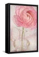 Single Rose Pink Flower-Cora Niele-Framed Stretched Canvas