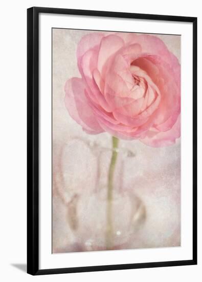 Single Rose Pink Flower-Cora Niele-Framed Photographic Print