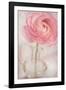 Single Rose Pink Flower-Cora Niele-Framed Photographic Print