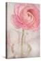 Single Rose Pink Flower-Cora Niele-Stretched Canvas