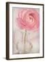 Single Rose Pink Flower-Cora Niele-Framed Photographic Print