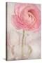 Single Rose Pink Flower-Cora Niele-Stretched Canvas