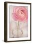 Single Rose Pink Flower-Cora Niele-Framed Photographic Print