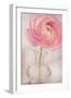 Single Rose Pink Flower-Cora Niele-Framed Photographic Print