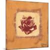 Single Rose-Anna Flores-Mounted Premium Giclee Print