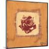 Single Rose-Anna Flores-Mounted Art Print