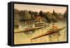 Single Rowing Competition-null-Framed Stretched Canvas