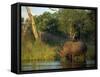 Single Square-Lipped or White Rhinoceros Standing in Water, Kruger National Park, South Africa-Paul Allen-Framed Stretched Canvas