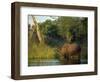 Single Square-Lipped or White Rhinoceros Standing in Water, Kruger National Park, South Africa-Paul Allen-Framed Photographic Print