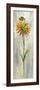 Single Stem Flower III-Silvia Vassileva-Framed Premium Giclee Print