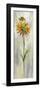 Single Stem Flower III-Silvia Vassileva-Framed Premium Giclee Print