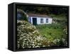 Single Storey Cottage and Garden, Faja Do Ouvidor, Sao Jorge Island, Azores, Portugal-Bruno Barbier-Framed Stretched Canvas