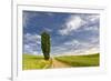 Single tree and rural dirt road, Palouse region of Eastern Washington State-Adam Jones-Framed Photographic Print