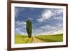 Single tree and rural dirt road, Palouse region of Eastern Washington State-Adam Jones-Framed Photographic Print