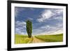 Single tree and rural dirt road, Palouse region of Eastern Washington State-Adam Jones-Framed Photographic Print