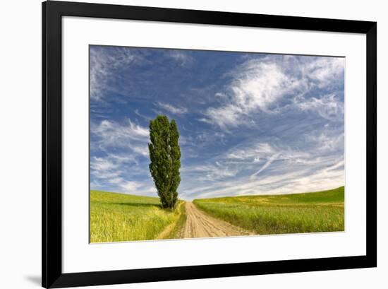 Single tree and rural dirt road, Palouse region of Eastern Washington State-Adam Jones-Framed Photographic Print