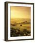 Single Tree at Sunrise-Markus Lange-Framed Photographic Print