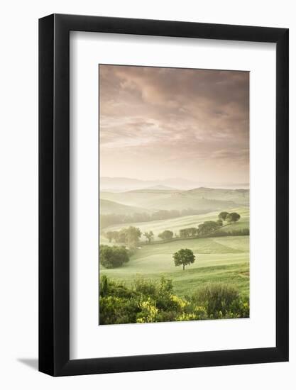 Single Tree at Sunrise-Markus Lange-Framed Photographic Print