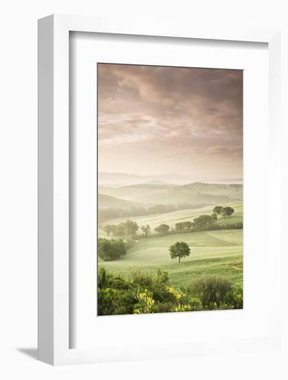 Single Tree at Sunrise-Markus Lange-Framed Photographic Print