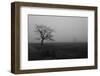 Single Tree, Fog, Meadow-Jurgen Ulmer-Framed Photographic Print