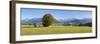 Single Tree in Prealps Landscape in Autumn-Markus Lange-Framed Photographic Print