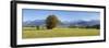 Single Tree in Prealps Landscape in Autumn-Markus Lange-Framed Photographic Print