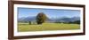 Single Tree in Prealps Landscape in Autumn-Markus Lange-Framed Photographic Print