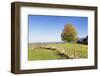 Single Tree in Prealps Landscape in Autumn-Markus Lange-Framed Photographic Print