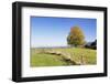 Single Tree in Prealps Landscape in Autumn-Markus Lange-Framed Photographic Print