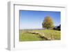 Single Tree in Prealps Landscape in Autumn-Markus Lange-Framed Photographic Print