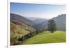 Single tree on hill, Wiedener Eck, Black Forest, Baden-Wurttemberg, Germany-Markus Lange-Framed Photographic Print