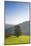 Single tree on hill, Wiedener Eck, Black Forest, Baden-Wurttemberg, Germany-Markus Lange-Mounted Photographic Print