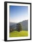 Single tree on hill, Wiedener Eck, Black Forest, Baden-Wurttemberg, Germany-Markus Lange-Framed Photographic Print