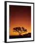 Single Tree Silhouetted Against a Red Sunset Sky in the Evening, Kruger National Park, South Africa-Paul Allen-Framed Photographic Print