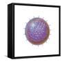 Single Virus Particle-null-Framed Stretched Canvas