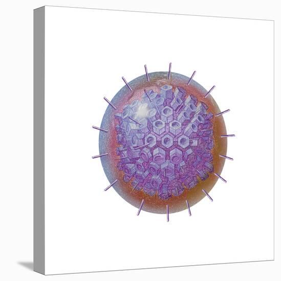 Single Virus Particle-null-Stretched Canvas