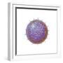 Single Virus Particle-null-Framed Premium Giclee Print