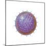 Single Virus Particle-null-Mounted Premium Giclee Print