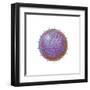 Single Virus Particle-null-Framed Art Print