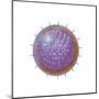 Single Virus Particle-null-Mounted Art Print