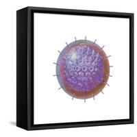 Single Virus Particle-null-Framed Stretched Canvas