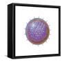 Single Virus Particle-null-Framed Stretched Canvas
