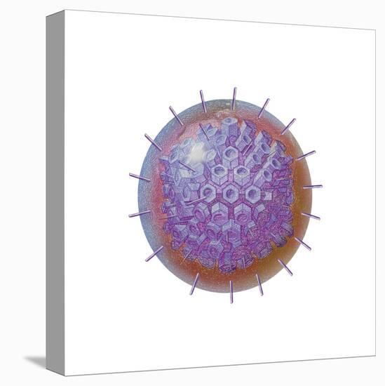 Single Virus Particle-null-Stretched Canvas