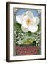 Single White Magnolia - Savannah, Georgia-Lantern Press-Framed Art Print