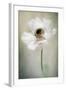 Single White-Jacky Parker-Framed Giclee Print